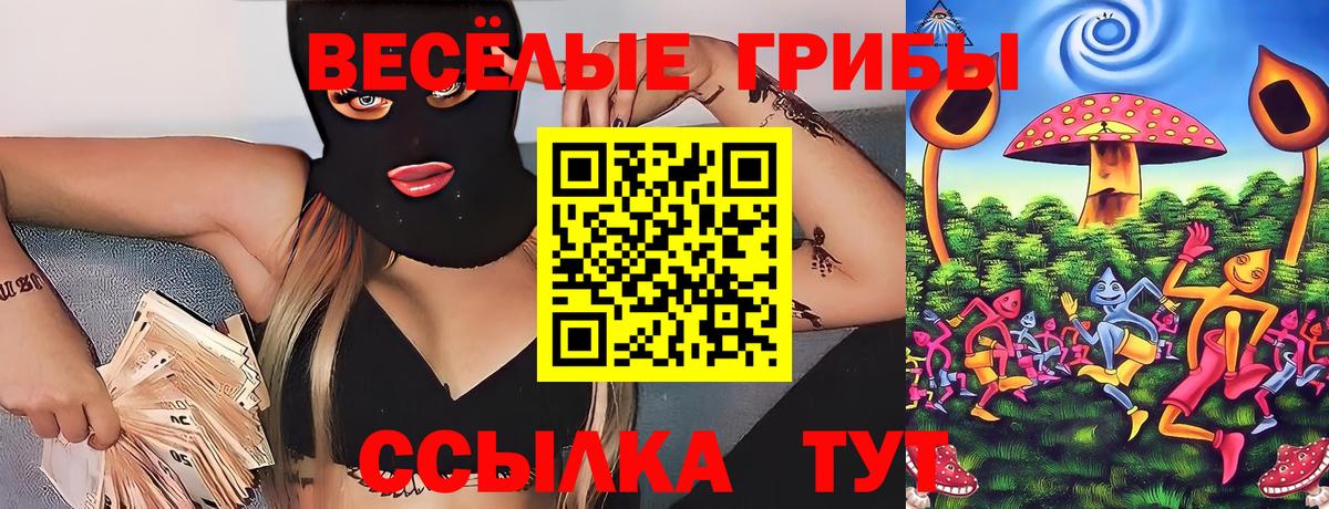 Оренбург  Псилоцибиновые грибы мухоморы  Вход с VPN 