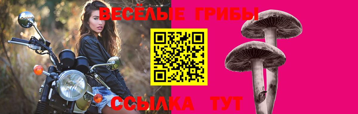 Экстази  КОКАИН  Конопля  Вход с VPN  ГАШ  МЕТАМФЕТАМИН  Кокаин  Оренбург  Мефедрон   НБОМе 
